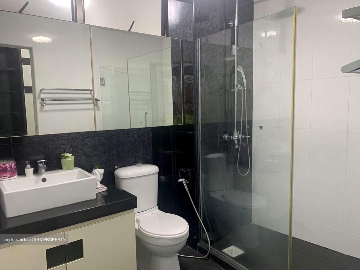 Lakepoint Condominium (D22), Condominium #557276831